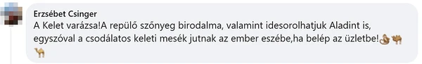 Ügyfél vélemény 28